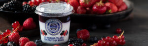 Yogurt Colato - Frutti di Bosco - Caseificio Val d'Aveto