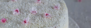 Torta al cocco con Yogurt Colato parallasse