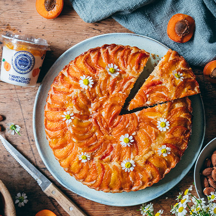 Torta con Yogurt Colato con albicocche e mandorle