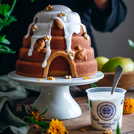 Cake nido d'amore con Yogurt Colato Bianco