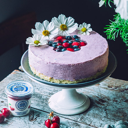 Torta fredda con yogurt colato con ciliegia