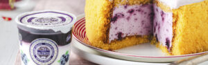 Charlotte ripiena di yogurt e mirtilli parallasse