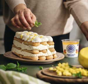 Mattonella savoiardi con yogurt con mango