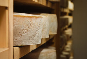Forma di formaggio San Ste della Val d'Aveto in primo piano