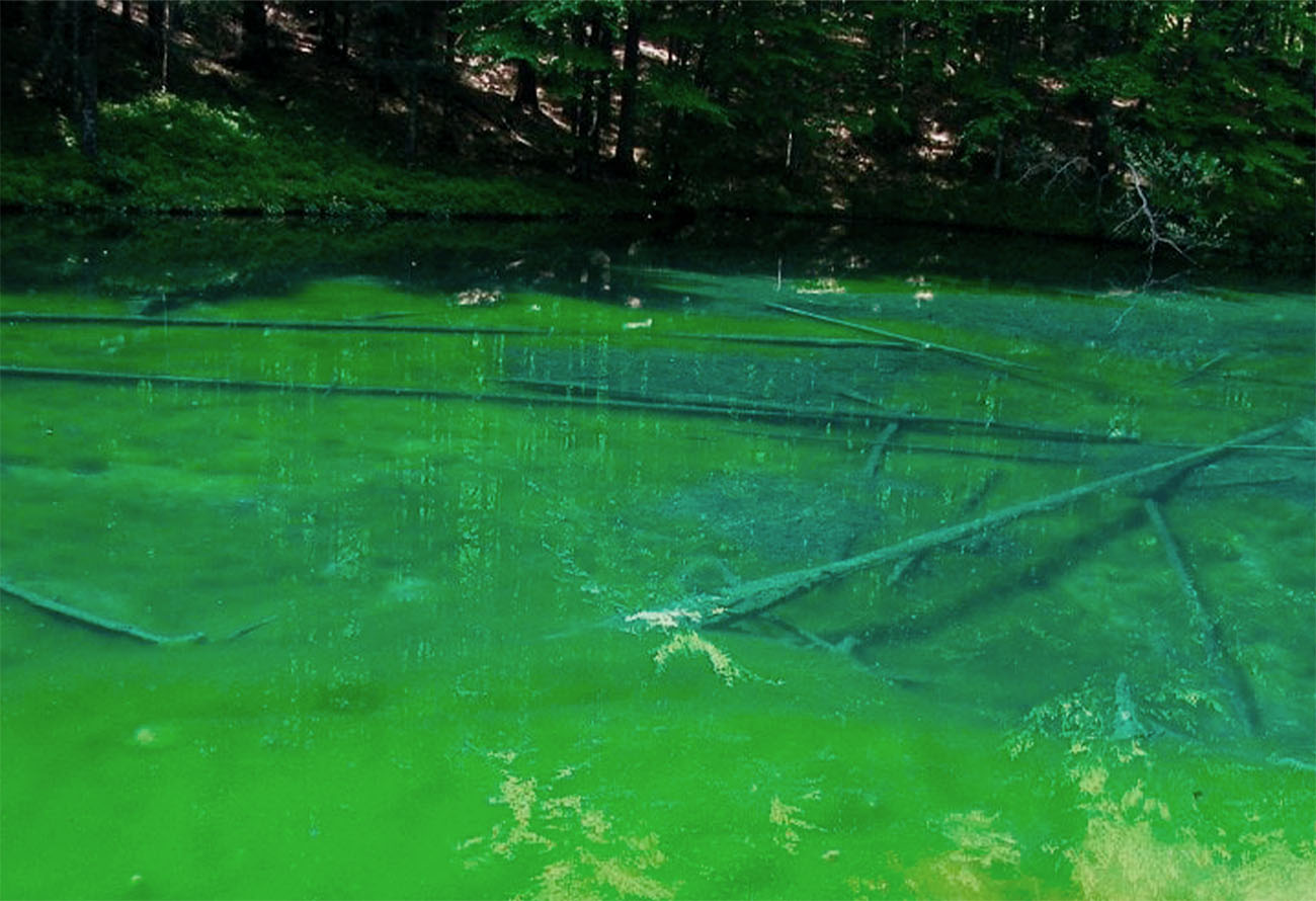Lago Abeti 3